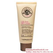 clean-face-oil-free-bb-cream-bb-danh-cho-da-dau-thefaceshop_result