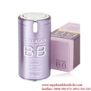 1430812532BB-Collagen-1 - Copy_result