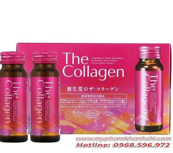 shiseido-the-collagen-1_result